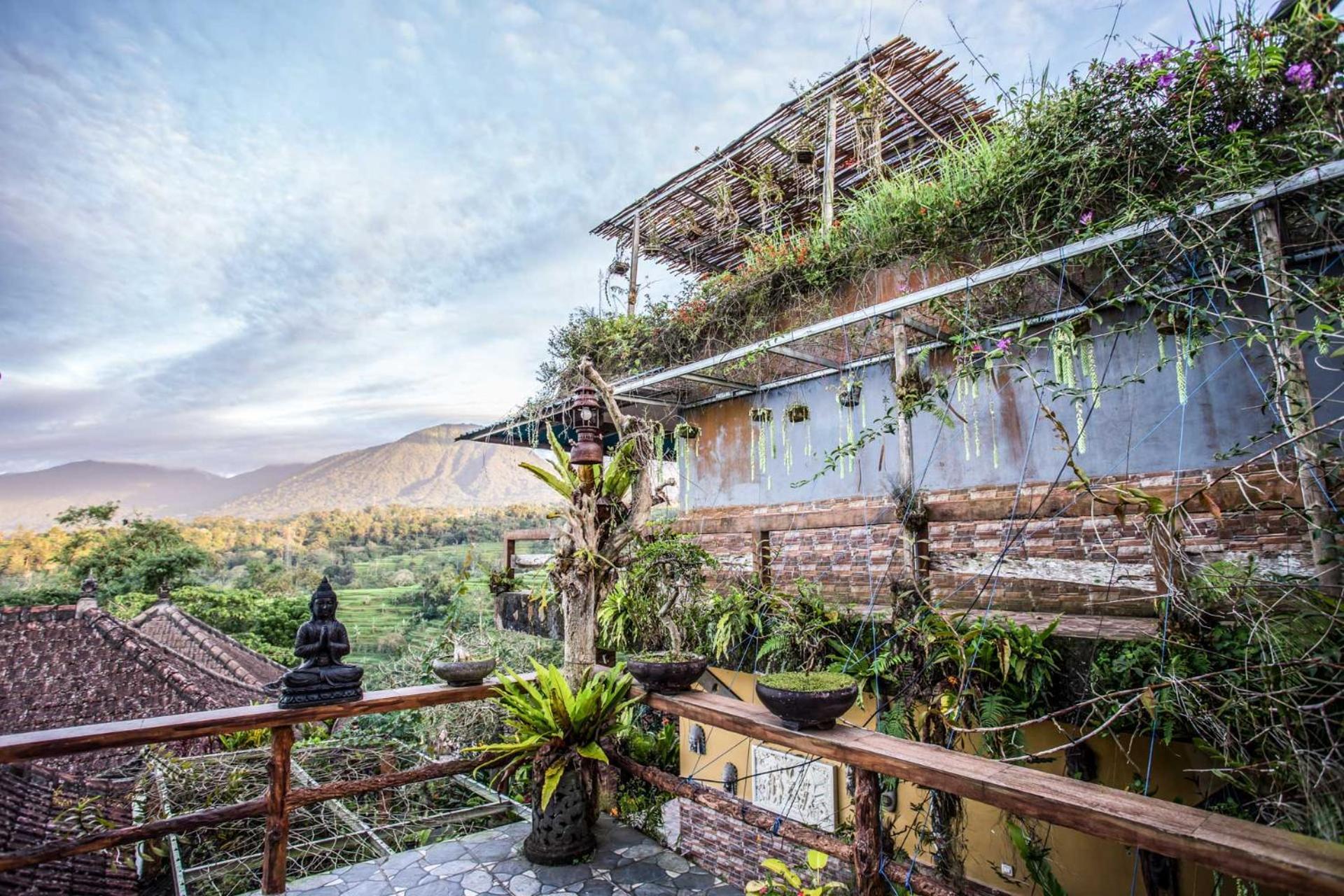 Hotel Pondok Nyoman Bedugul  Exterior foto