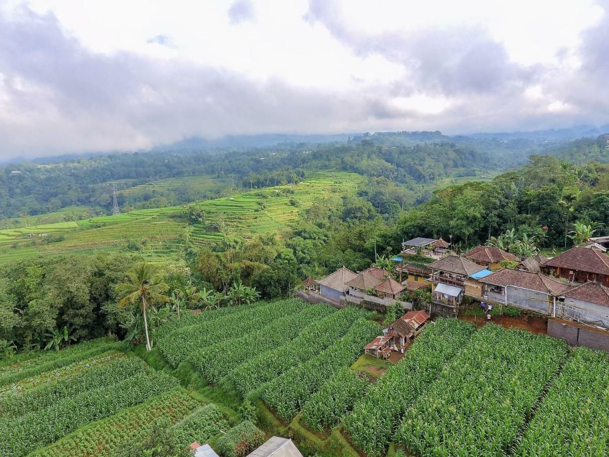 Pondok Nyoman Bedugul By Agata Exterior foto