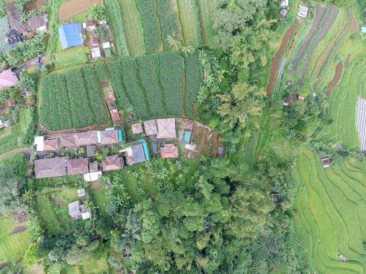 Pondok Nyoman Bedugul By Agata Exterior foto